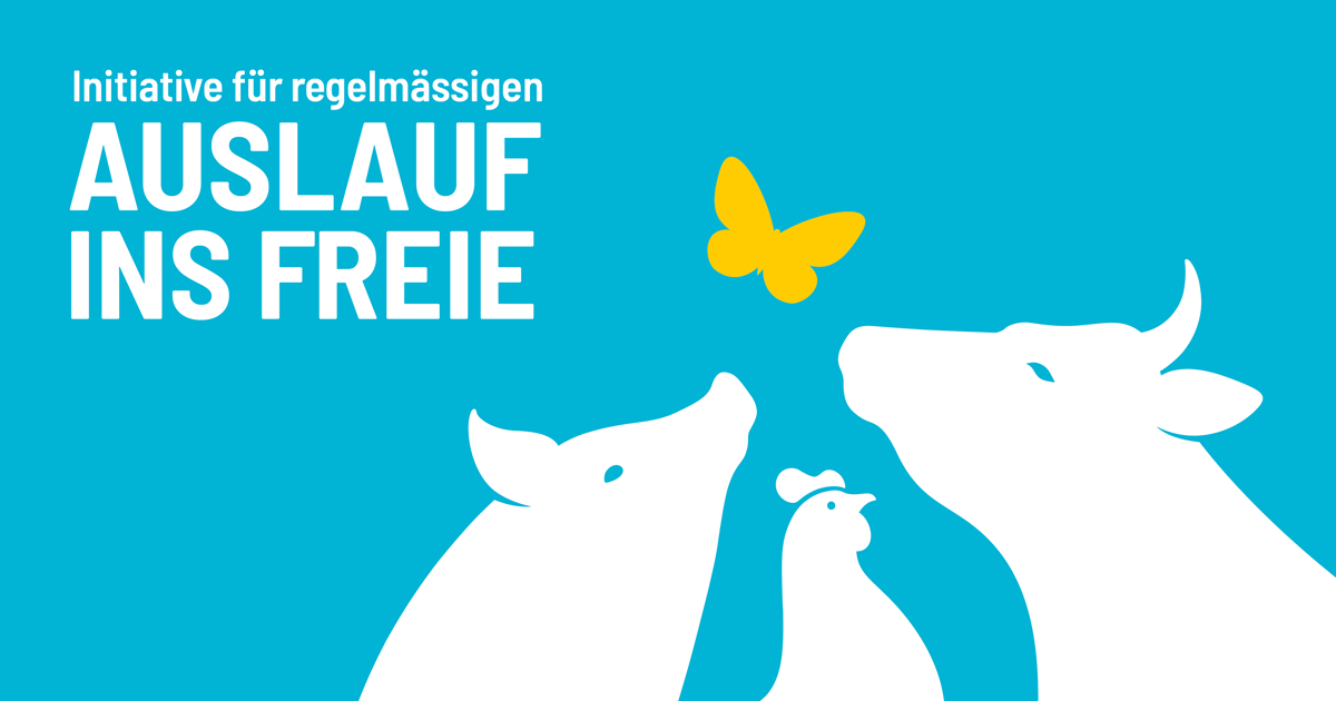 2025-Recht-und-Politik_Initiative-Auslauf-ins-Freie